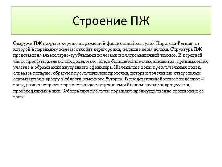 Строение ПЖ Снаружи ПЖ покрыта хорошо выраженной фасциальной капсулой Пирогова-Ретция, от которой в паренхиму