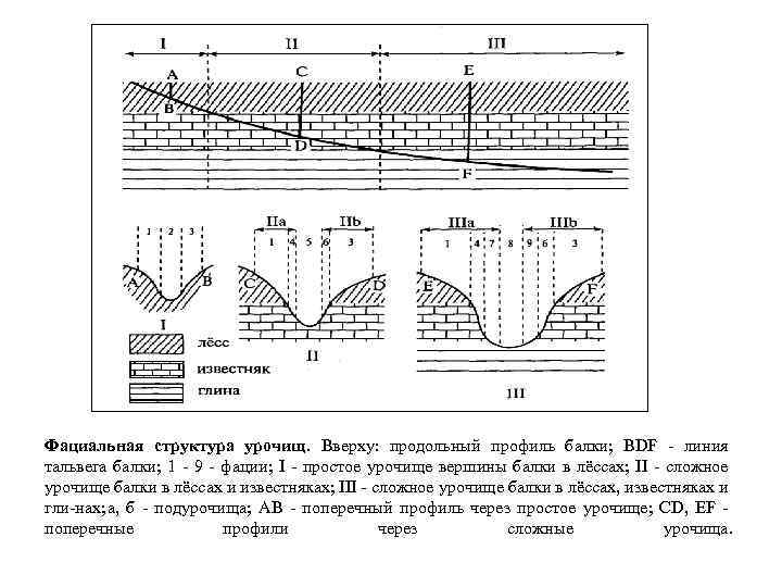 Фациальная структура урочищ. Вверху: продольный профиль балки; BDF линия тальвега балки; 1 9 фации;