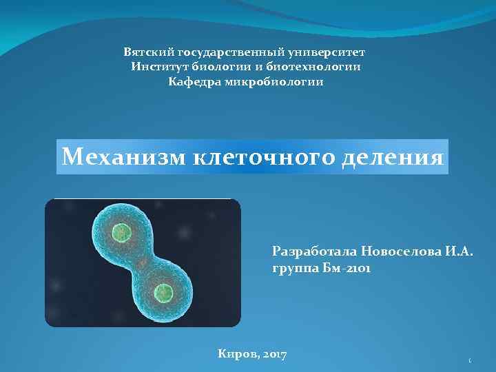 Вятский государственный университет Институт биологии и биотехнологии Кафедра микробиологии Механизм клеточного деления Разработала Новоселова