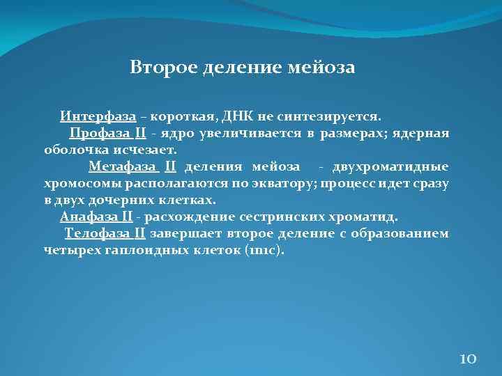 Второе деление мейоза Интерфаза – короткая, ДНК не синтезируется. Профаза II - ядро увеличивается