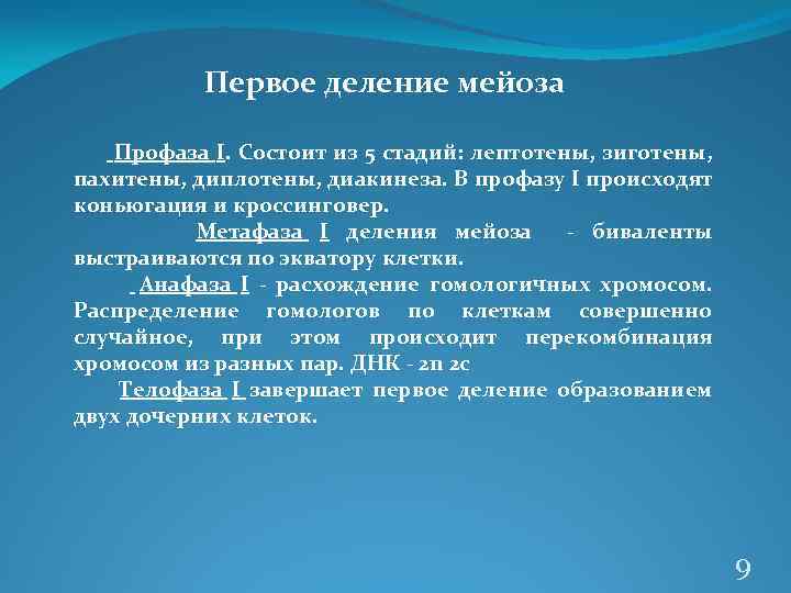 Первое деление мейоза Профаза I. Состоит из 5 стадий: лептотены, зиготены, пахитены, диплотены, диакинеза.