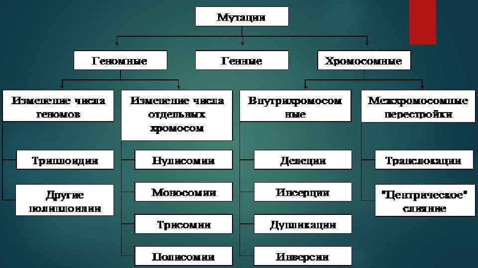 Вредные и полезные мутации проект