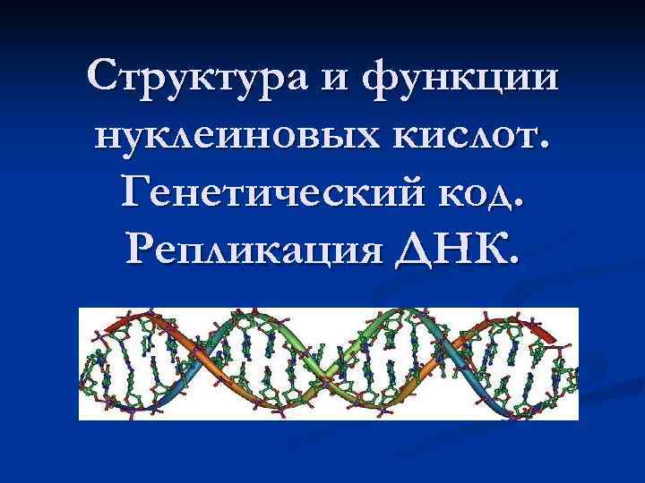 Строение и функции нуклеиновых. Строение и репликация ДНК. Структура и функции нуклеиновых кислот генетический код. Репликация ДНК генетика. Функции нуклеиновых кислот.