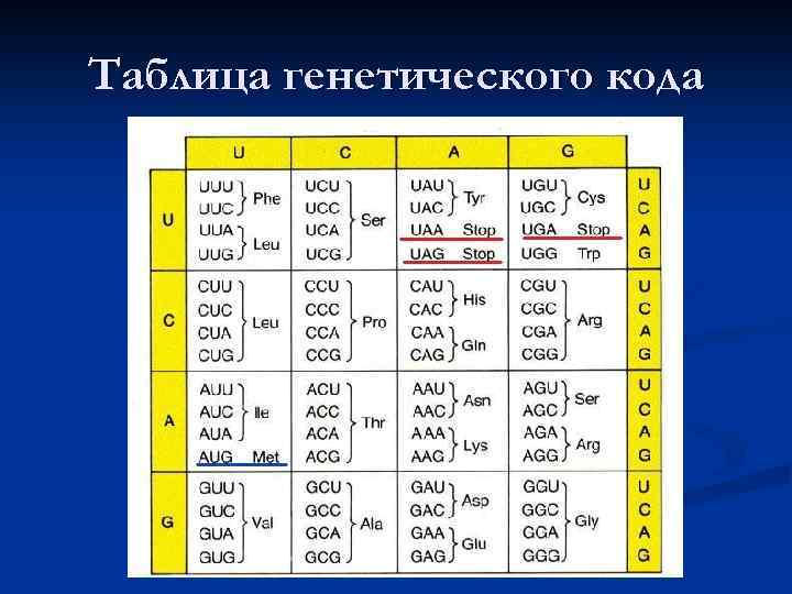 Таблица генетического кода 