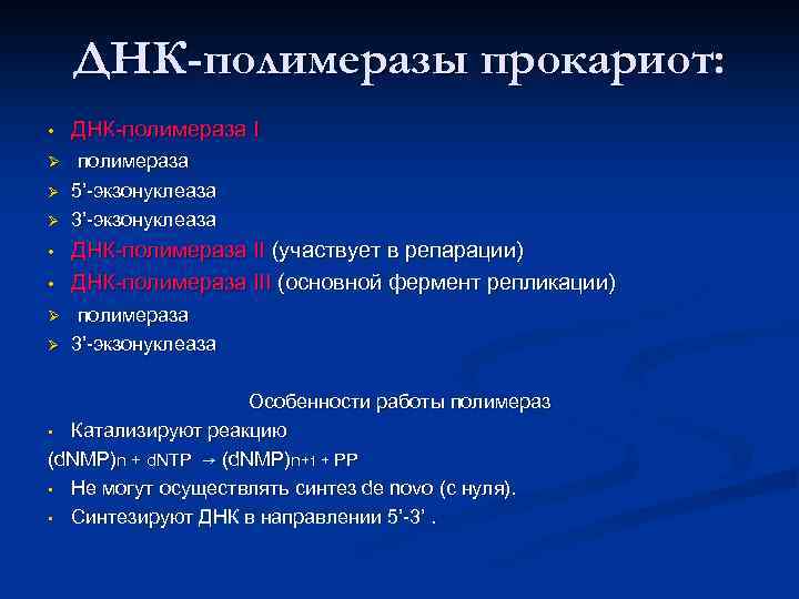 ДНК-полимеразы прокариот: • ДНК-полимераза I Ø полимераза 5’-экзонуклеаза 3’-экзонуклеаза Ø Ø • • Ø