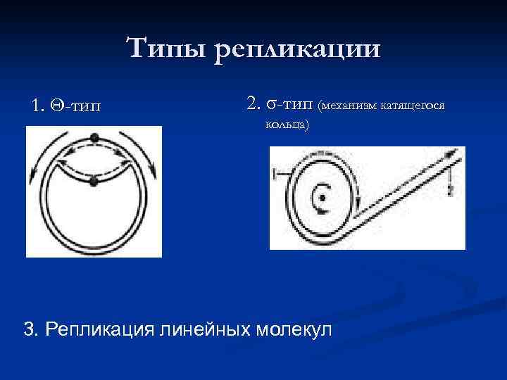 Типы репликации 1. Θ-тип 2. σ-тип (механизм катящегося кольца) 3. Репликация линейных молекул 