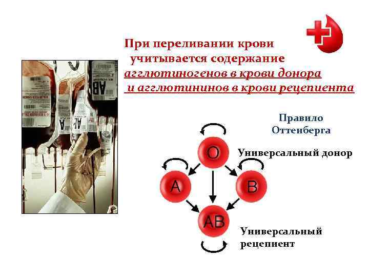 Вампир нейтрал донор. Агглютинины при переливании крови. Переливание крови агглютиногены. Правила переливания крови. Гемотрансфузии агглютинины и агглютиногены.