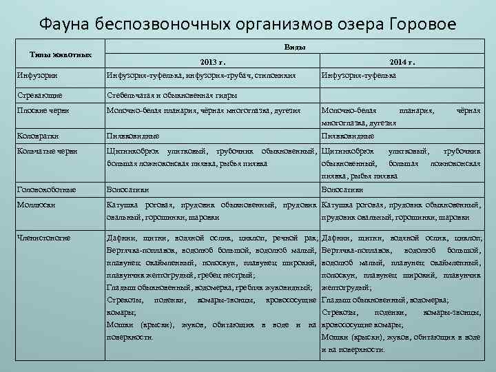 Фауна беспозвоночных организмов озера Горовое Виды Типы животных 2013 г. 2014 г. Инфузории Инфузория-туфелька,