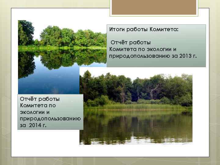 Итоги работы Комитета: Отчёт работы Комитета по экологии и природопользованию за 2013 г. Отчёт