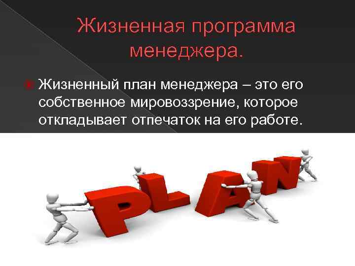 Жизненная программа менеджера. Жизненный план менеджера – это его собственное мировоззрение, которое откладывает отпечаток