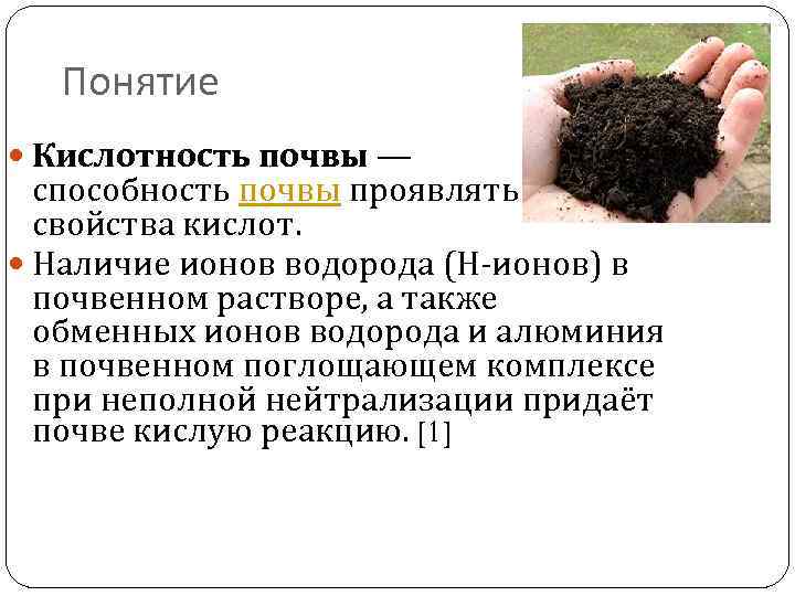 Понятие Кислотность почвы — способность почвы проявлять свойства кислот. Наличие ионов водорода (Н-ионов) в