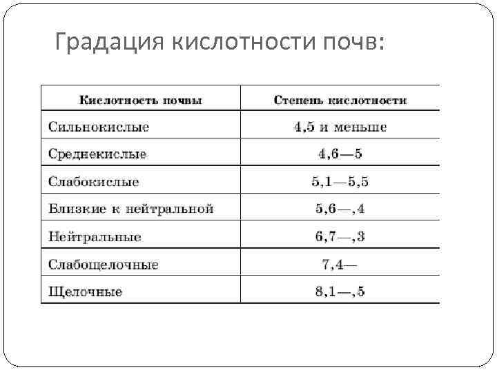 Как измерить кислотность почвы