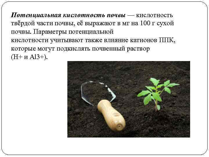 Потенциальная кислотность почвы — кислотность твёрдой части почвы, её выражают в мг на 100