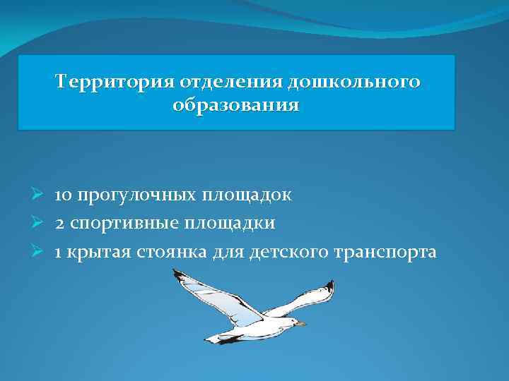 Территория отделения дошкольного образования Ø 10 прогулочных площадок Ø 2 спортивные площадки Ø 1