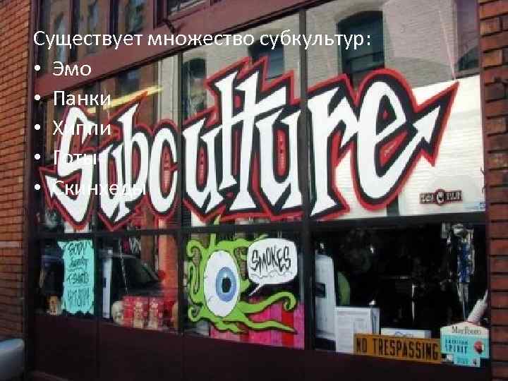 Существует множество субкультур: • Эмо • Панки • Хиппи • Готы • Скинхеды 