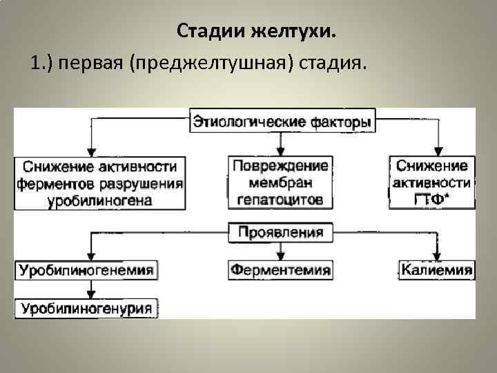 Стадии желтухи. 1. ) первая (преджелтушная) стадия. 