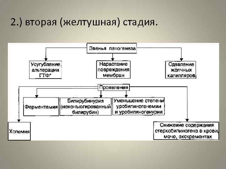 2. ) вторая (желтушная) стадия. 