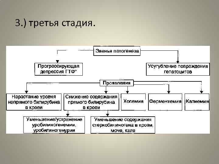 Желтухи их виды патогенез презентация