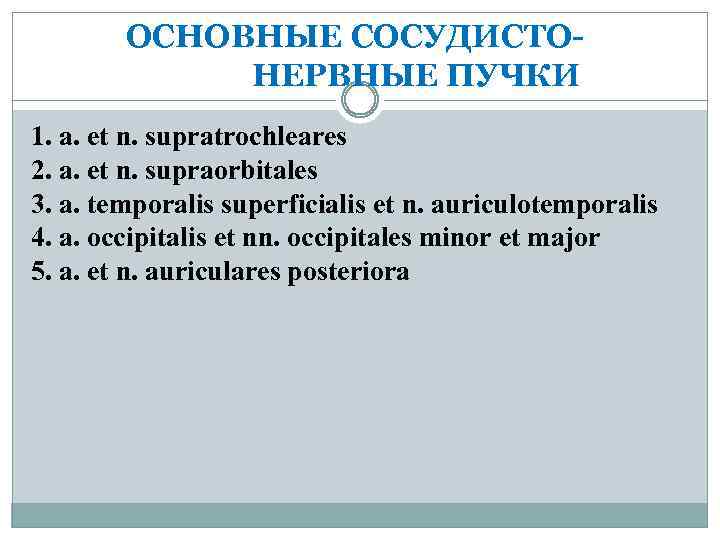 ОСНОВНЫЕ СОСУДИСТО- НЕРВНЫЕ ПУЧКИ 1. a. et n. supratrochleares 2. a. et n. supraorbitales