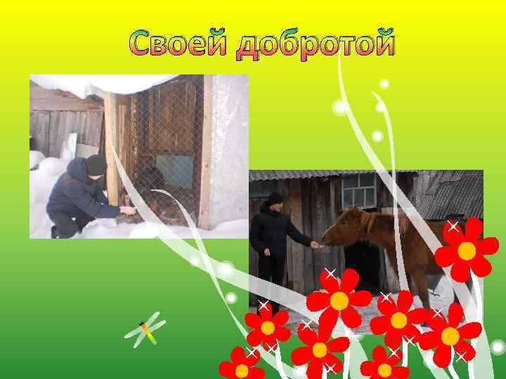 Своей добротой 