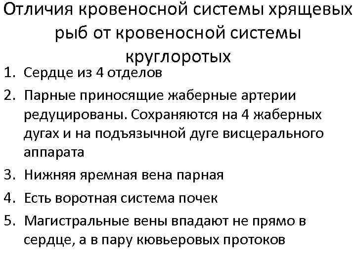 Отличия кровеносной системы хрящевых рыб от кровеносной системы круглоротых 1. Сердце из 4 отделов