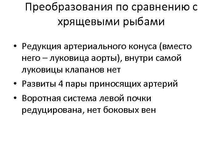 Преобразования по сравнению с хрящевыми рыбами • Редукция артериального конуса (вместо него – луковица
