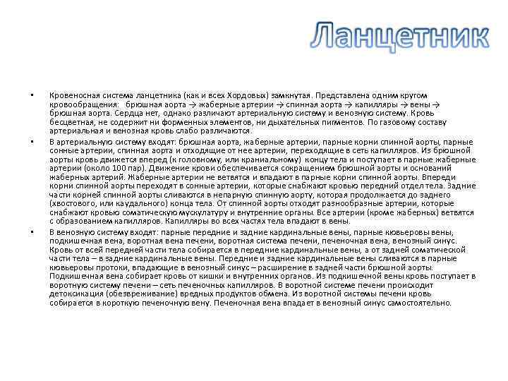 • • • Кровеносная система ланцетника (как и всех Хордовых) замкнутая. Представлена одним