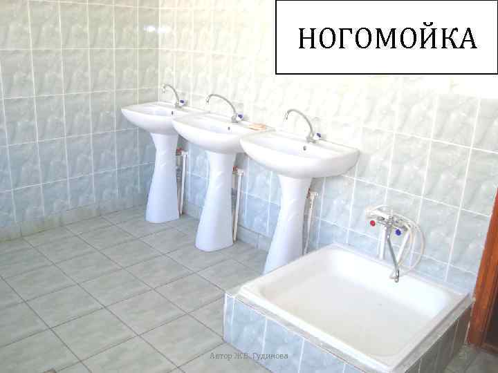 НОГОМОЙКА Автор Ж. В. Гудинова 31 