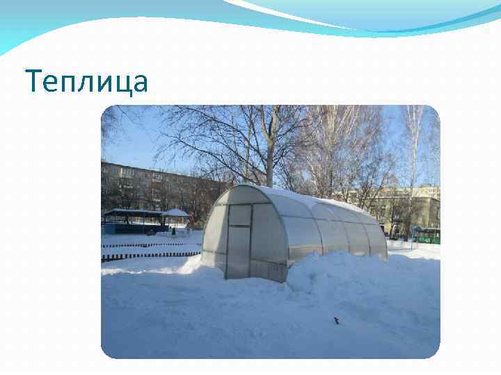 Теплица 