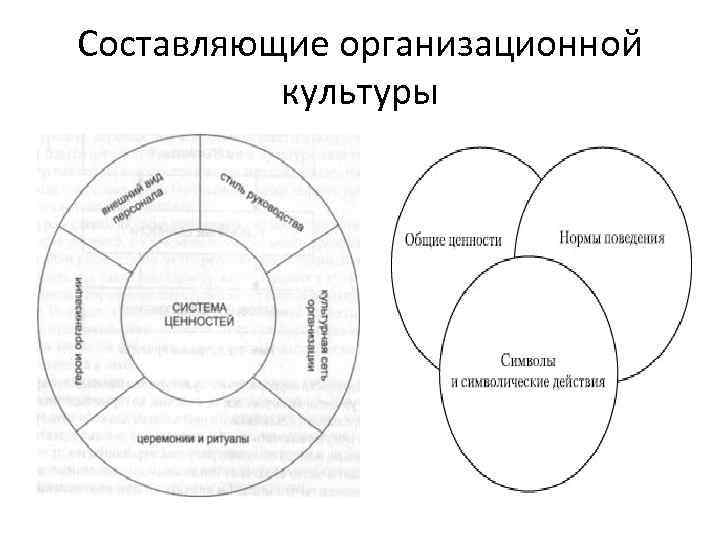 Культура включает в себя ценности носителями которых являются составьте план