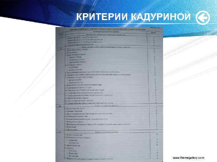 КРИТЕРИИ КАДУРИНОЙ www. themegallery. com 