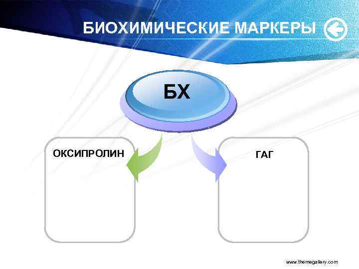 БИОХИМИЧЕСКИЕ МАРКЕРЫ БХ ОКСИПРОЛИН ГАГ www. themegallery. com 