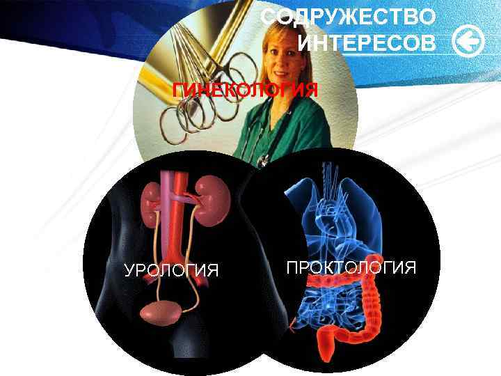 СОДРУЖЕСТВО ИНТЕРЕСОВ ГИНЕКОЛОГИЯ УРОЛОГИЯ ПРОКТОЛОГИЯ 