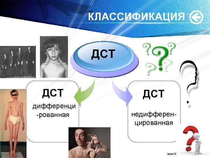 КЛАССИФИКАЦИЯ ДСТ дифференци рованная ДСТ недифферен цированная www. themegallery. com 