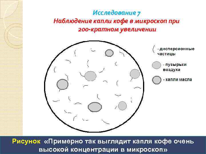 Исследование 7 Наблюдение капли кофе в микроскоп при 200 -кратном увеличении Рисунок «Примерно так