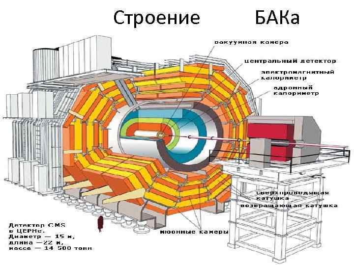  Строение БАКа 