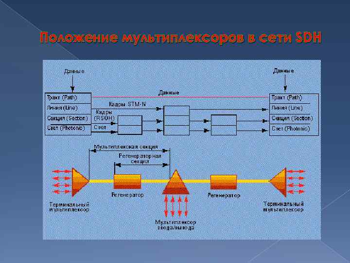 Положение мультиплексоров в сети SDH 