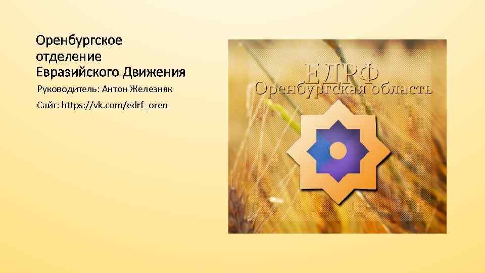 Оренбургское отделение Евразийского Движения Руководитель: Антон Железняк Сайт: https: //vk. com/edrf_oren 