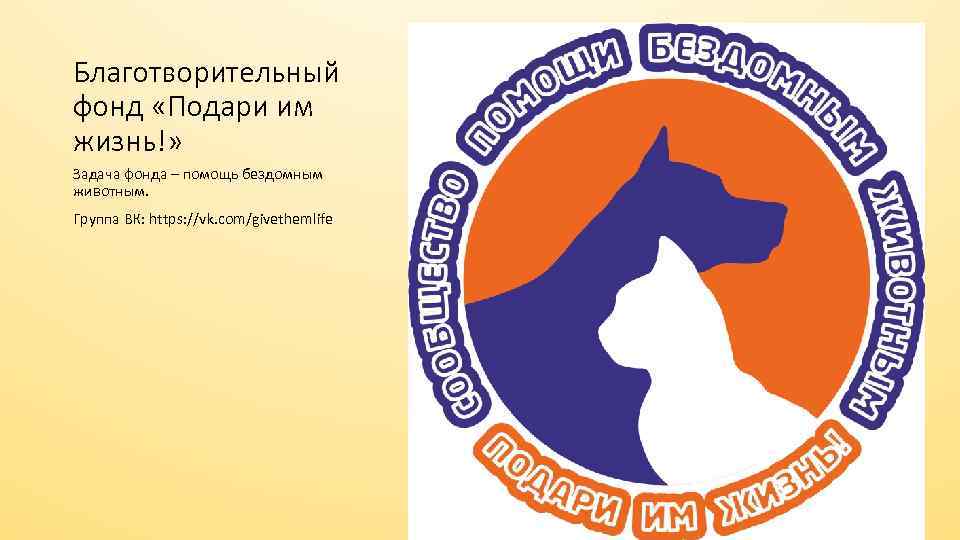 Благотворительный фонд «Подари им жизнь!» Задача фонда – помощь бездомным животным. Группа ВК: https:
