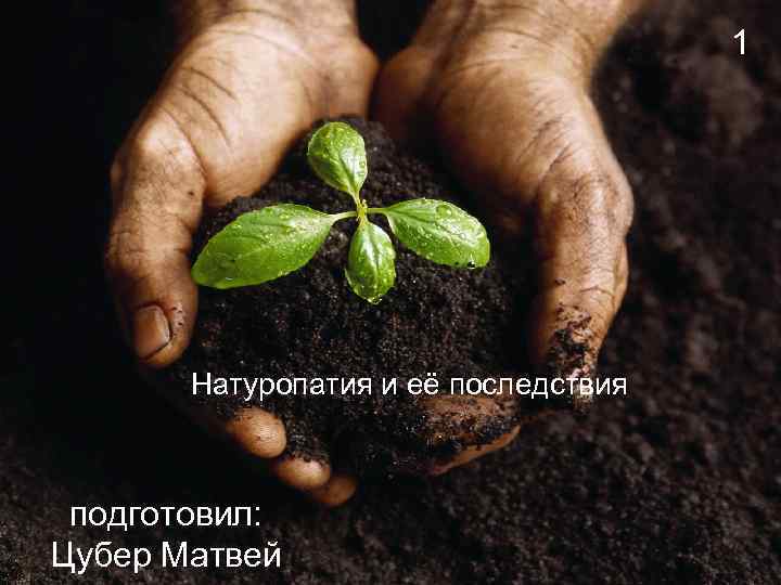 1 Натуропатия и её последствия подготовил: Цубер Матвей 