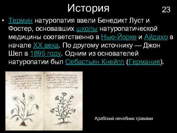 История 23 • Термин натуропатия ввели Бенедикт Луст и Фостер, основавших школы натуропатической медицины