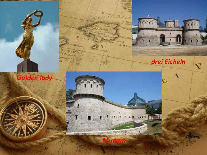 drei Eicheln Golden lady Mudam 