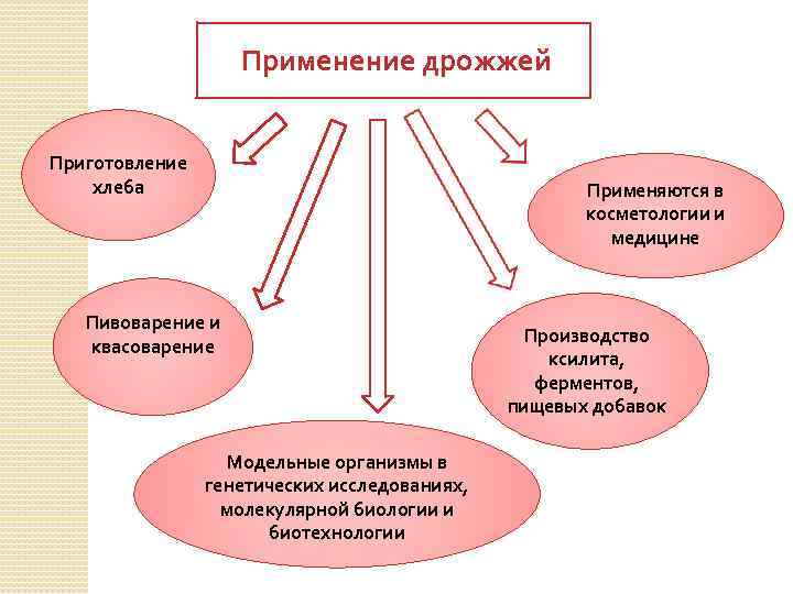 Применение человеком