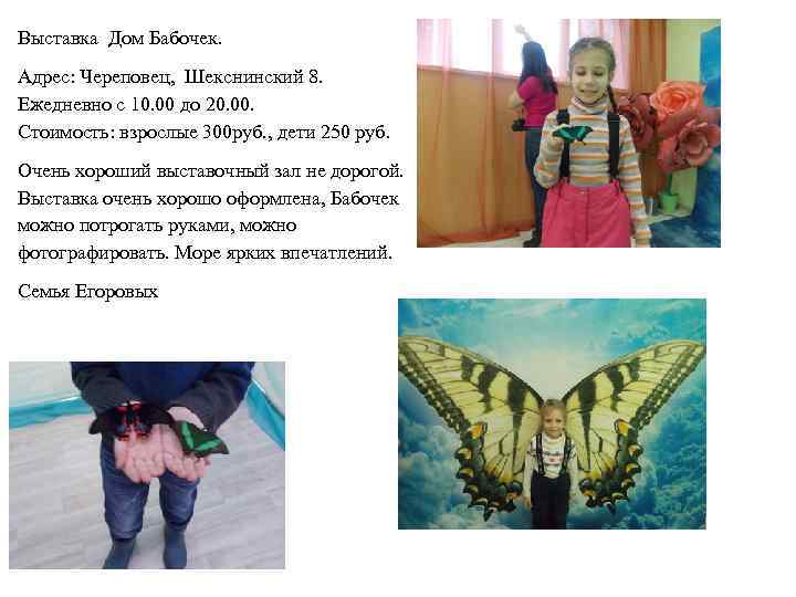 Выставка Дом Бабочек. Адрес: Череповец, Шекснинский 8. Ежедневно с 10. 00 до 20. 00.