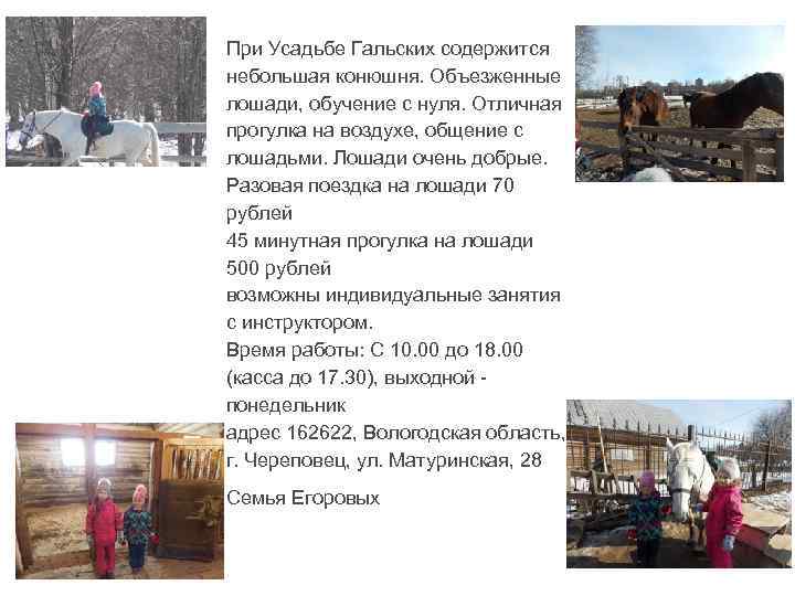 При Усадьбе Гальских содержится небольшая конюшня. Объезженные лошади, обучение с нуля. Отличная прогулка на