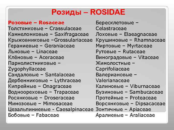 Розиды – ROSIDAE Розовые – Rosaceae Толстянковые – Crassulaceae Камнеломковые – Saxifragaceae Крыжовниковые –Grossulariaceae