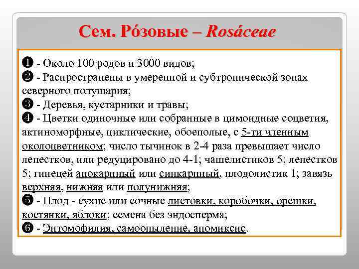 Сем. Рóзовые – Rosáceae ❶ - Около 100 родов и 3000 видов; ❷ -