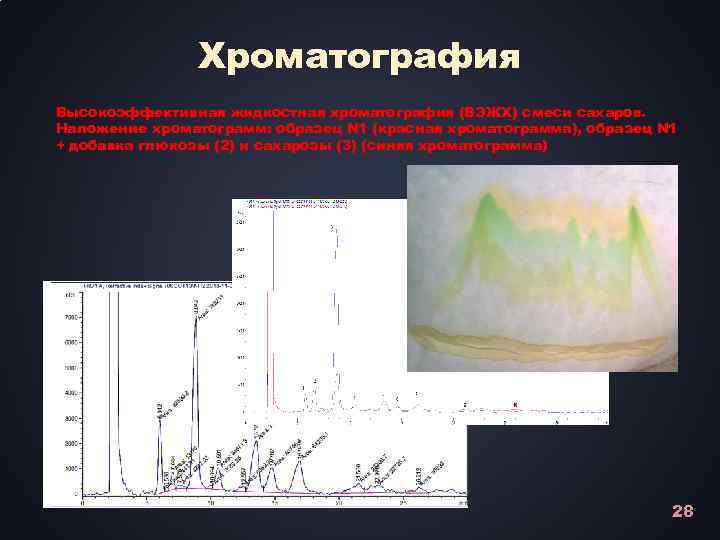 Хроматография Высокоэффективная жидкостная хроматография (ВЭЖХ) смеси сахаров. Наложение хроматограмм: образец N 1 (красная хроматограмма),