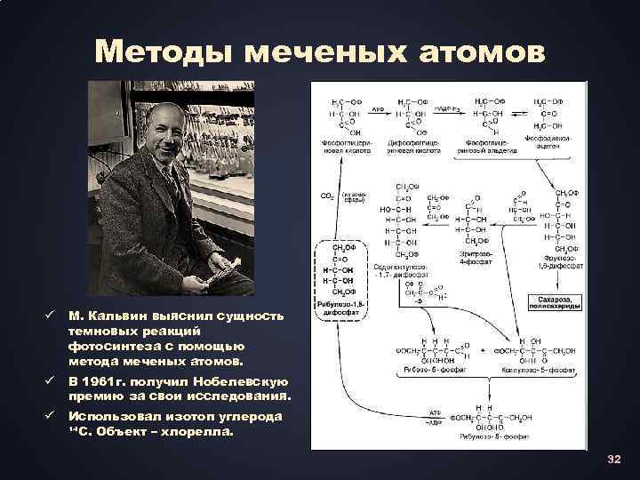 Методы меченых атомов ü М. Кальвин выяснил сущность темновых реакций фотосинтеза с помощью метода