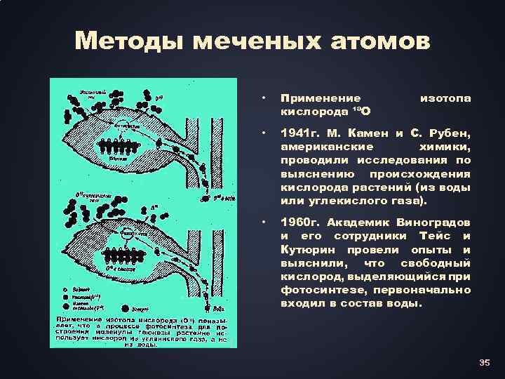 Метод меченых атомов картинки